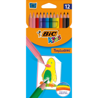 Bic Boya Kalemi 12 Li