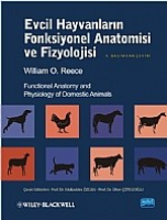 Evcil Hayvanların Fonksiyonel Anatomisi ve Fizyolojisi