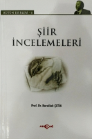 Şiir İncelemeleri